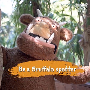 Immerse yourself in a magical world as Perth Zoo transforms into a mystical fairyland this summer! 🧚 📅 1 January – 31 January 2025 🧚Meet real life fairies 🚪Count the tiny fairy doors 🐲 Dodge the gigantic dragon 🔍 Be a Gruffalo spotter 🦒 And visit all your favourite animals! Plus, on Saturdays in January we’re staying up until 7:30pm for Summer Sundowners! Book your January adventure now! | Perth Zoo