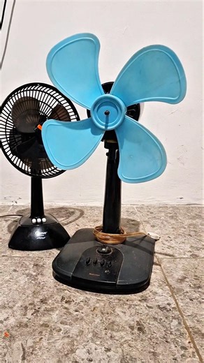 Electric Fan speed #fan #wind #satisfying #ventilador #shorts