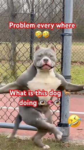 Problem vs problem 🤣🤣 #funny #comedy #views #millionviews #1000subscriber #comment #memes