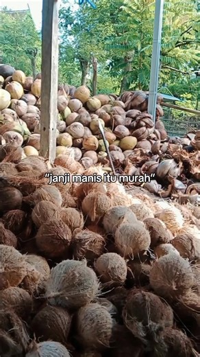 #CapCut fypppppppp####viral fyppppp sps sahabat pick up Sulawesi id 1296