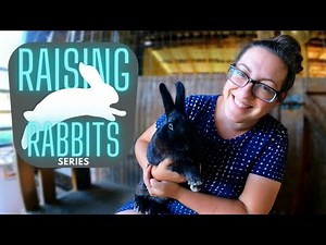Raising Meat Rabbits: Sustainable, Affordable, Approachable. | Series Introduction