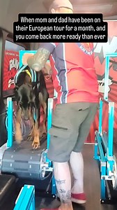 29K views · 673 reactions | Sometimes when dogs take time off, it takes them a little while to get their energy back into their running exercise. Not Draco, when mom and dad were out on their European tour for a month, he was saving it up. Welcome back Draco, now let's build some muscle! #rundawg #mobiledoggym #dogexercise #lasvegas | Run Dawg | Facebook