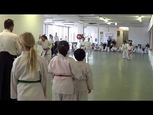 Kids Ukemi & Basic Techniques