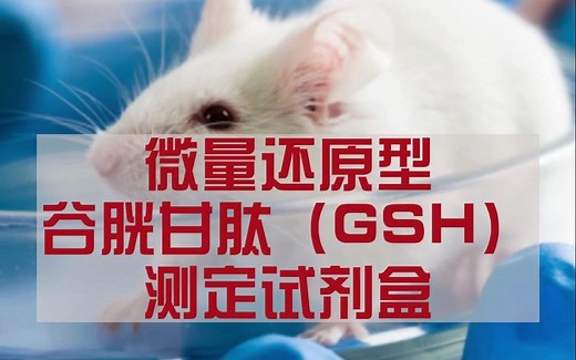 实验方法教学：微量还原型谷胱甘肽（GSH）测定试剂盒