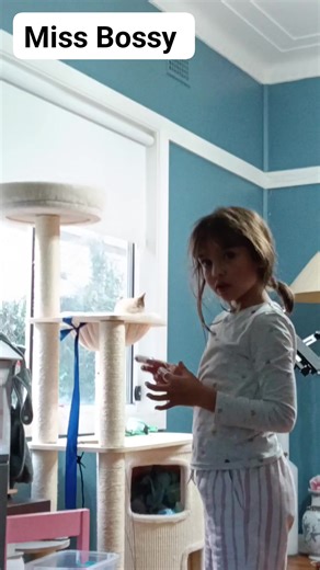 3.2K views · 28 reactions | Missy and Mr Grumpy the Ragdoll cat. At the end you will listen to the beautiful voice from Missy. #ทาสแมว #ความสุข #สาวน้อยน่ารัก | Miss Bossy | Facebook