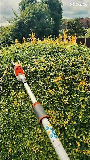 POV Garden Pruning | Shaping a Large Privet Topiary Dome #gardening #topiary #gardenmaintenance