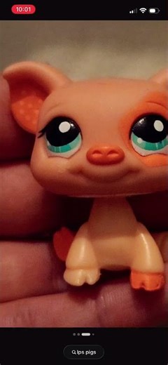 LPS pig 1
