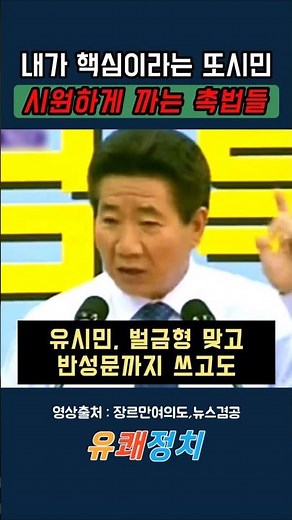 사이다 공격 돌입한 촉법들 #철거전문 #용역평론가 #다스뵈이다 #극단주의