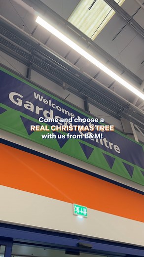 🎄✨ Make Christmas magical with the perfect Christmas tree! ✨🎄 Our real Christmas trees have arrived! Get in the festive spirit with the fresh scent of one of our UK grown trees 🎄!! Choose your fave shape and size and we will re-net and help carry to your car too! 🚗 Start your Christmas memories here - the perfect tree is waiting for you! #christmastrees #realchristmastree #christmas #christmasinspo #tree #bmstores | B&M Stores