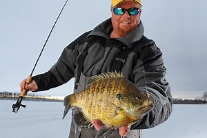 UV light: Why it Matters to Fishermen - In-Fisherman