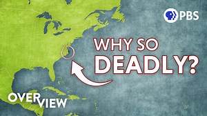 448K views · 5.5K reactions | The Outer Banks, known as the "Graveyard of the Atlantic," is home to thousands of shipwrecks, including Blackbeard’s infamous Queen Anne’s Revenge. But beyond the maritime history, this fragile coastline is rapidly changing—threatened by shifting sands, rising seas, and intensifying storms that could reshape it forever. Thanks to Rogue History's Joel Cook from PBS Origins for collaborating on this episode! | PBS North Carolina | Facebook