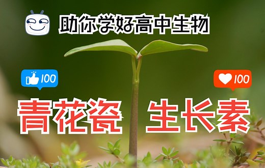 【高中生物】歌曲：生长素-改编自《青花瓷》