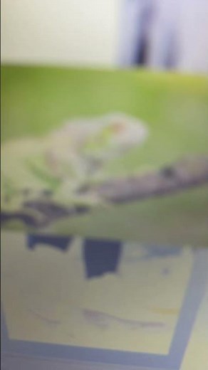 Dora The Explorer ABC Animals Letter I