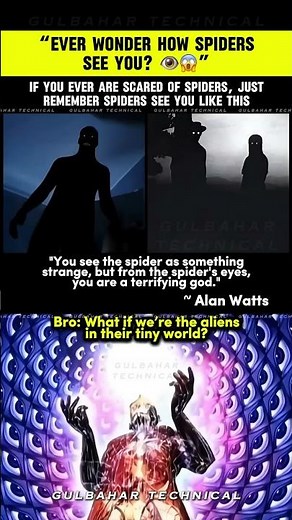 Spider Vision: How Humans Appear | It's Not What You Think! | How Spiders See YOU 👁️