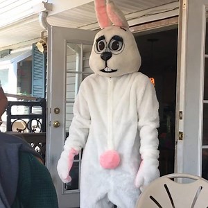 2.1M views · 303 shares | Happy Easter to everybunny!  | AFV Classics | Facebook