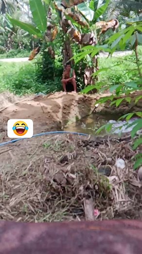 Uno kahha uya problems sa uyya fish pond hahhha😂😂 @highlight every one #fbreelsfypシ゚viralfbreelsfypシ゚viral | Devine Diaz