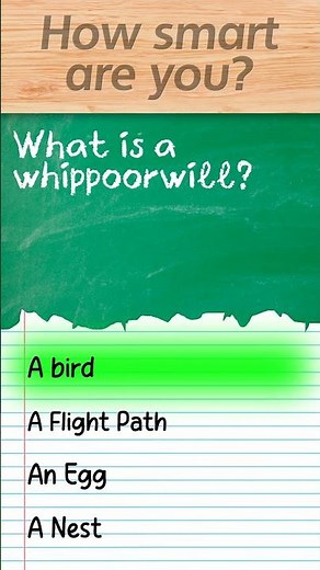 What is a whippoorwill?