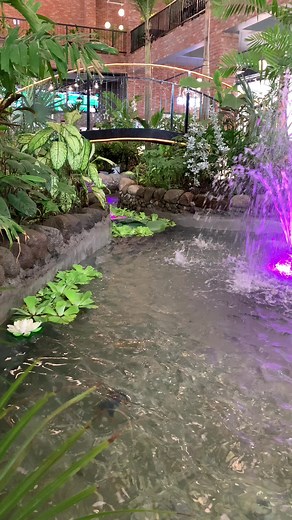 66K views · 345 reactions | Escape to our garden-inspired cafe, a haven where nature's essence thrives, and allow your senses to awaken to a world of sensory delights. As you step into this enchanting space, you'll be greeted by an ambiance that seamlessly blends the tranquility of a serene garden with the warmth and inviting atmosphere of a cozy cafe. | Lala Garden Cafe | Facebook