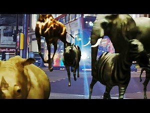 animal Stampede at American city 🇺🇸 elephant stamped / animals / zoo escape / wild animals / jumanji