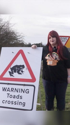 7.1K views · 57 reactions | ‘Toad Girl’ saves amphibians wanting to find a mate from the dangers of crossing the road  #toads #frogs #roadsafety #hexham | BBC North East | Facebook