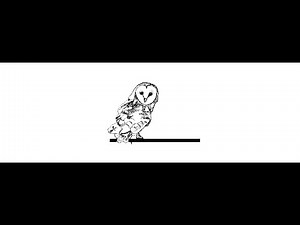 Inside Rural America: Ben Boardman on the Barn Owl, Local Journalism & Engaging Rural Voters