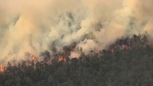 Wildfire grows to 8,500 acres in New Jersey, thousands forced to evacuate