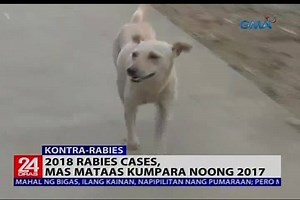 76K views · 234 reactions | Mga alagang aso at pusa, libreng binakunahan ng Anti-rabies vaccine. Tinutukan 'yan ni Jun Veneracion. Sa mga Kapuso abroad, tumutok o mag-subscribe sa GMA Pinoy TV, GMA Life TV, at GMA News TV International para sa iba pang mga balita. | GMA News | Facebook