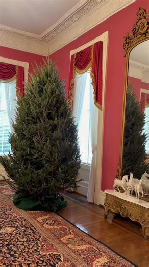 Explore the President's Mansion Holiday Edition