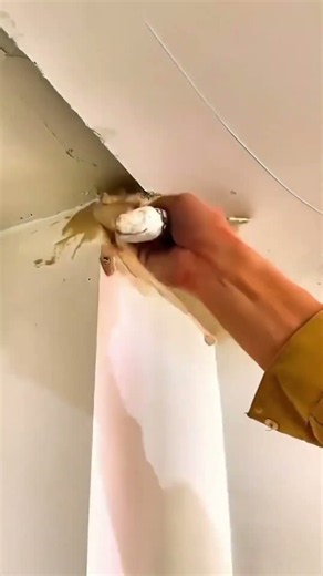 🧱 Drywall Prep: Stripping Torn Paper Layers Before Mudding