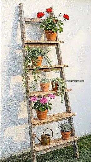 An Old Ladder Became a GORGEOUS Vertical Plant Display 🌿