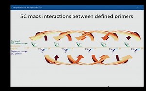 19. Discovering Quantitative Trait Loci (QTLs)