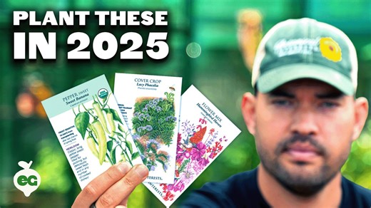12 Crops We're Growing In 2025
