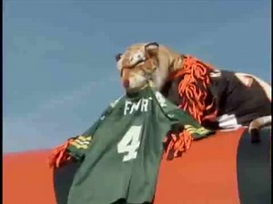 27K views · 484 reactions | 2005 AFC NORTH CHAMPIONSHIP REUNION SHOW This week 8 win over the #packers was one of the most memorable games of that decade Defense w 2 sacks & 5 INT's. Odell Thurman & Deltha O'Neal each had 2 interceptions & #bengals fan w a turnover as well #CincinnatiFootballHistory | Bengal Jim's "Before the Roar" Tailgate Experience | Facebook