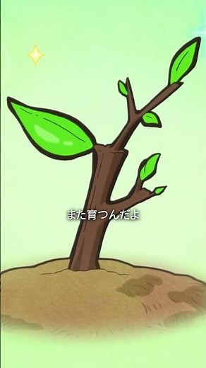 アニメ『文豪ストレイドッグス わん！』だい９わん！ | 2025年10月6日(月)より再放送中！