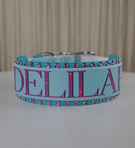 ✨ Custom, but make it unforgettable. ✨ These two collars were designed from the ground up — personalized colors, bold names, and rhinestone borders that catch the light just right. Every detail was chosen to match the dog and the vibe, because custom should feel special, not cookie-cutter. From sketch → design → build, these are one-of-a-kind pieces you won’t find anywhere else — and that’s my favorite kind of work. 💖 If you’ve ever said “I want something different” or “I have a vision in my he