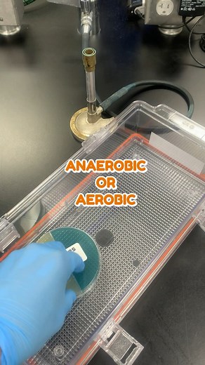 Did you know? Not only can you be selective with different types of microbiological plates 🧫. Promotion of this selectivity can be enhanced by incubating under aerobic or anaerobic conditions. 🗺️To grasp a full picture of a mixed culture, we plate on all different types of media as well as incubate under both conditions to promote certain types of organism growth. 🔬Check out LS6725 Mixed Culture Isolations at whitelabs.com under our analytical lab services. To learn more about this complex te