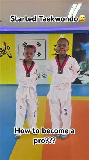 Steps to becoming a Pro at Taekwondo