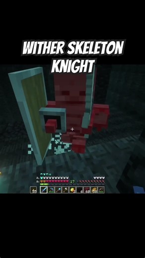 Wither skeleton knight #moddedminecraft #betternether r