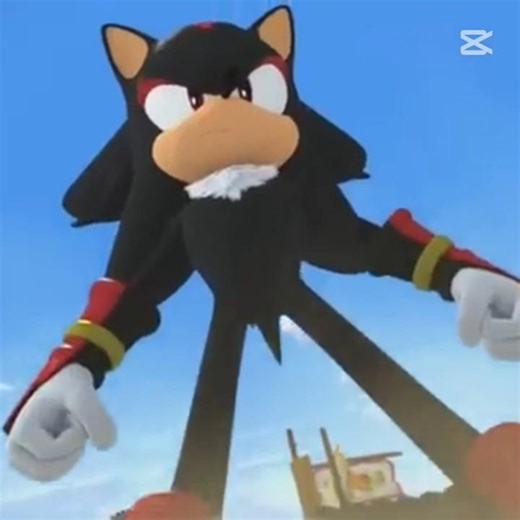 shadow vs Sonic boom Evren edıt 🔥