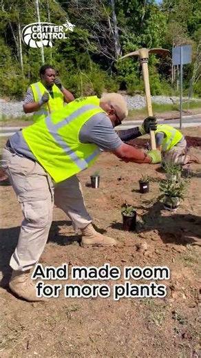 Critter Control + Keep Tennessee Beautiful