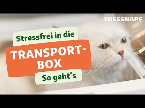 Transportbox und Katze: So klappt's | Katzentraining | FRESSNAPF