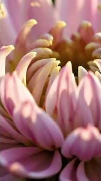 🌸 Happy start to spring 🌷 First days of spring & Warm spring greetings