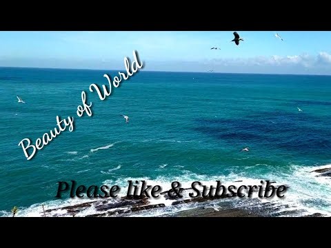 Top 5 Strangest Restaurants in the World