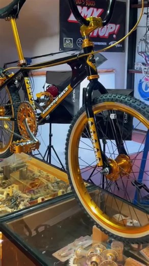 Authentic Classics: BMX Legends and Vintage Rides