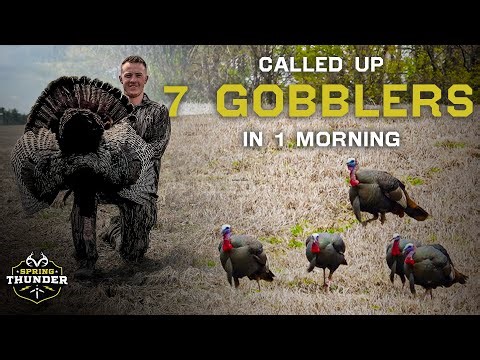 Longbeards On Fire!! | New York Turkey Hunting | Spring Thunder