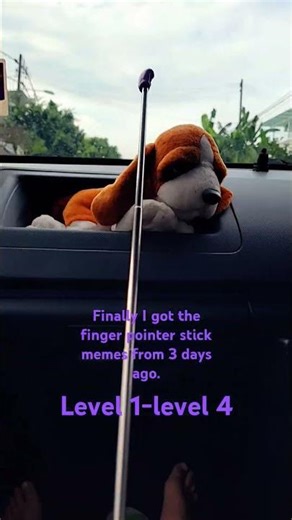 finger pointer stick