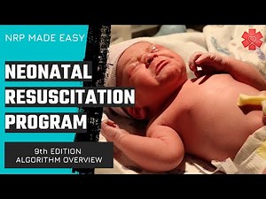 Neonatal Resuscitation Program (NRP) Algorithm (9th Edition)