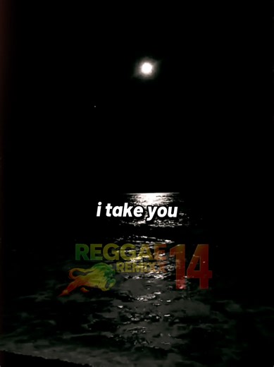 REGGAE REMIX INTERNACIONAL 2026 | MELÔ DE SHAINA | REGGAE DO MOMENTO | Shine Your Light TR Beat #reggae #remix #viralizarnotiktok