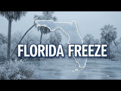 Florida Freeze: Live updates, weather cameras, reports
