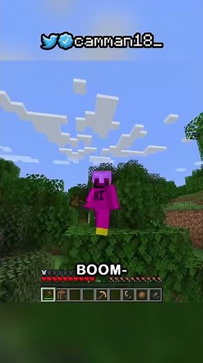 Minecraft But I Can't Touch A Random Block...